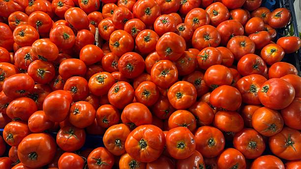 Fresh Ripe Tomatoes Stacked Neatly in a Market Display Ready for Shoppers to Choose