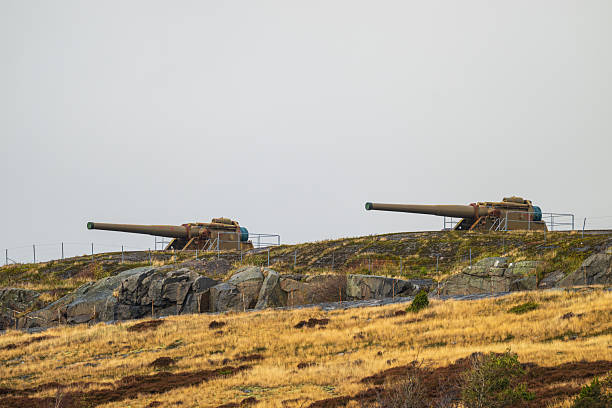Twin coastal defense cannons on rocky hill under overcast sky
