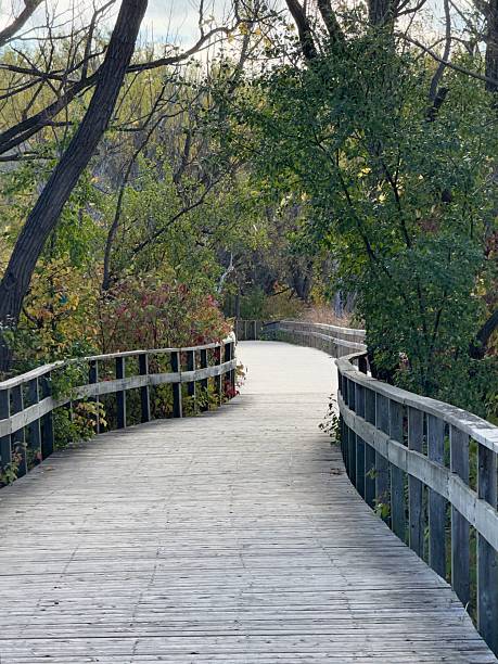 The promenade walkway in Collingwood passes through the arboretum on the lakeshore, as seen on a beautiful autumn day