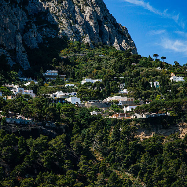 Hillside villas and Mediterranean-style homes built into the cliffs of Capri, Italy, surrounded by lush greenery and dramatic limestone rock formations.