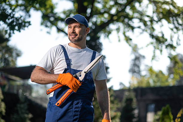 istock Male gardener doing trimming work in courtyard 2242649280