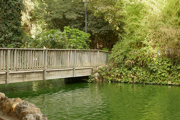 Kariya Park Pavilion pond. A Japanese garden in downtown Mississauga, Ontario, Canada.