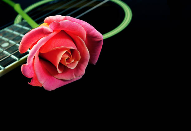 istock Pink rose and black acoustic guitar. Copy space 2242654961