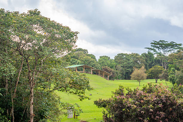 istock San Agustin Archaeological Park 2242655248