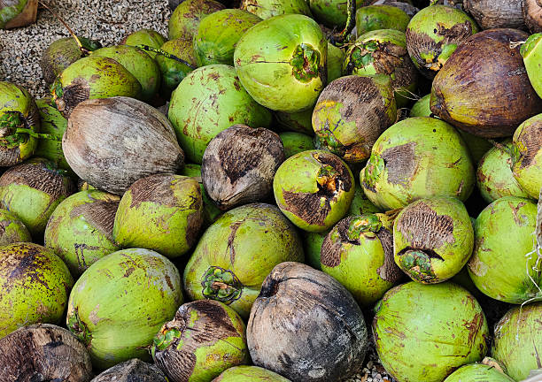 istock A pile of coconuts in the market 2242663195