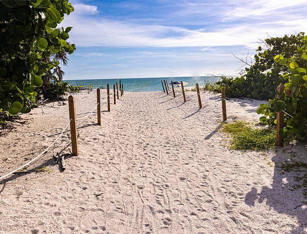 istock Sandy Pathway Through Marine Hammock at Barefoot Beach County Preserve 2242664529