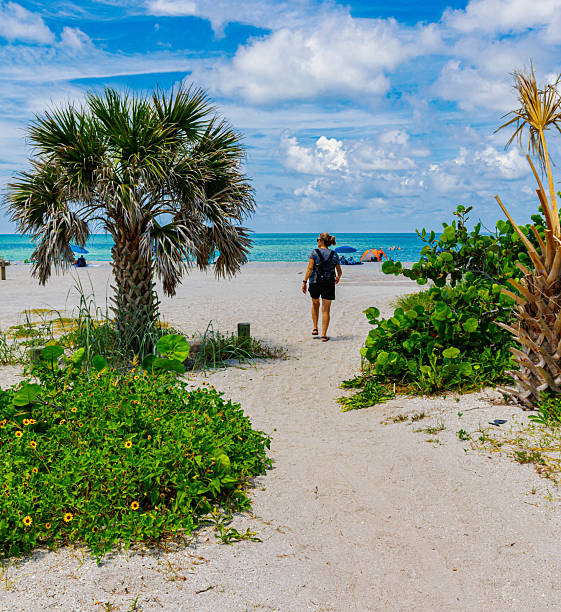 istock Female Hiker On Sandy Path to Blind Pass Beach, 2242664552