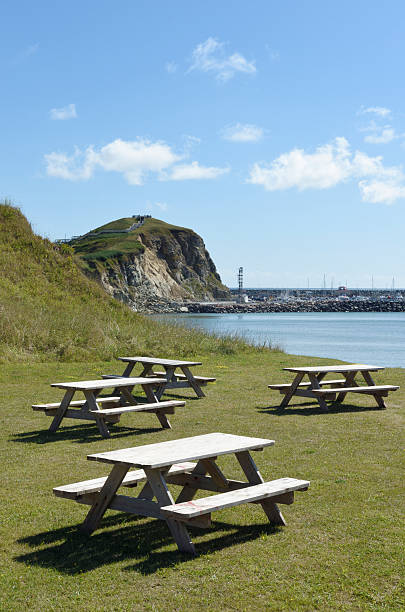 Picnic tables by the sea