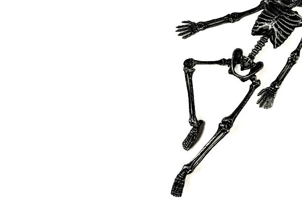 Skeleton lying on stone