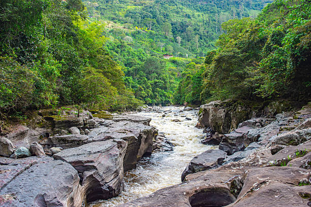 istock Magdalena River in San Agustin 2242671361