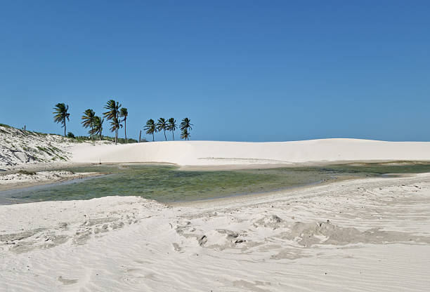 istock Tropical lagoon surrounded by white sand dunes at Jericoacoara, and tall palm trees under a clear blue sky. Pristine nature, summer paradise, and a peaceful destination for relaxation. 2242671929
