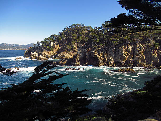 istock Dramatic Rocky Coastline Cove with Cypress Trees 2242671982