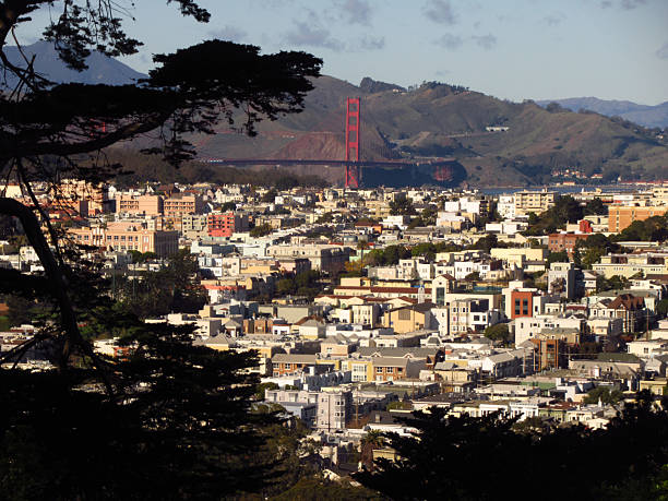 istock Golden Gate Bridge and San Francisco Through Trees 2242672004