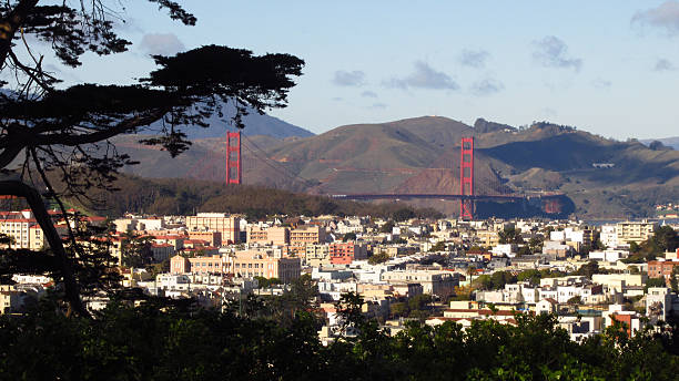 istock Golden Gate Bridge and San Francisco Through Trees 2242672005