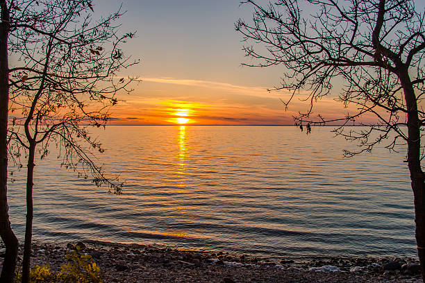 Sunset colours paint the sky and water as calm waves gently touch the rocky shore framed by silhouetted branches.