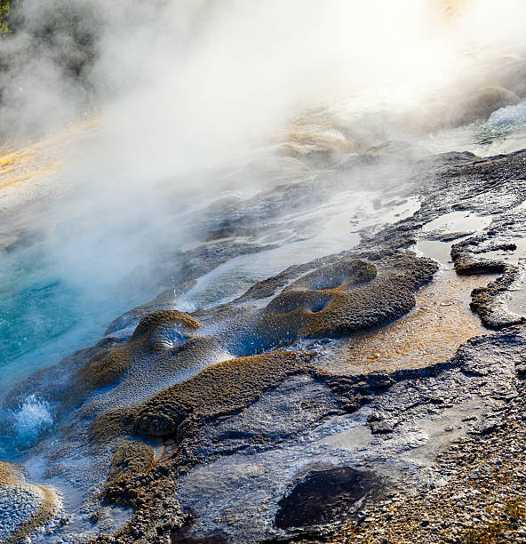 istock Background of Yellowstone grounds near thermal pools 2242673817