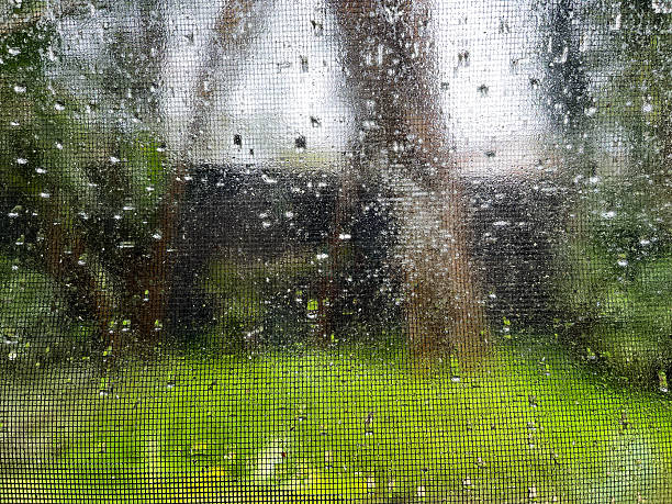 Raindrops clinging to a window obscure a blurred natural landscape of lush green trees and rolling hills, creating a serene and refreshing scene