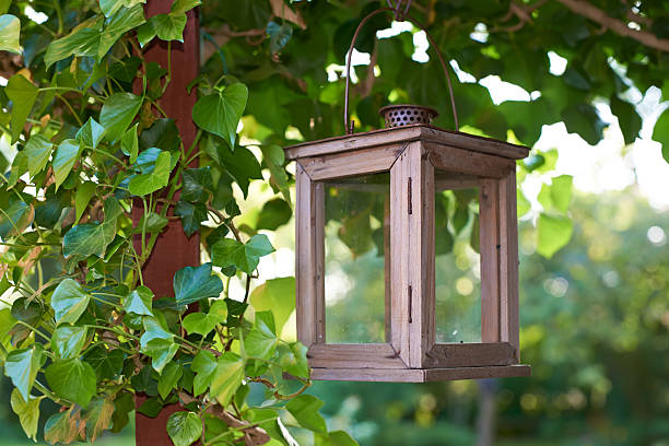 A vintage-style wooden lantern hangs amid a natural backdrop of dense, verdant ivy. The serene setting evokes tranquility, with soft lighting enhancing its rustic charm. Perfect for concepts of nature, decor, and serenity.