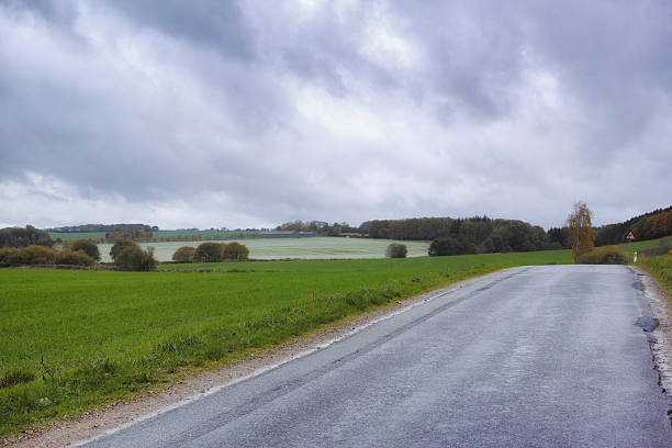 A serene rural landscape featuring a narrow asphalt road winding through lush green fields. The overcast grey sky adds a moody atmosphere, accentuating the natural beauty of the surroundings and the vibrant landscape.