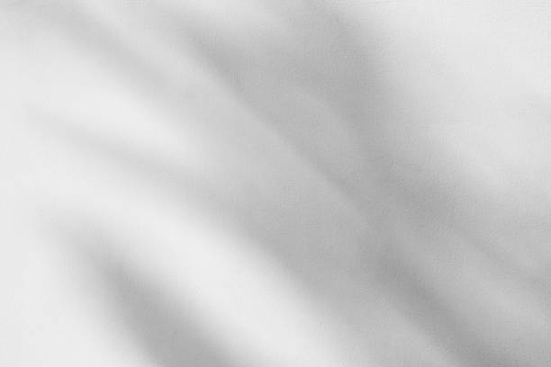istock Abstract natural tree branch leaves shadow on white wall background 2242679551