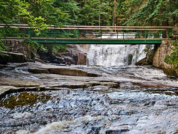 istock waterfall crossing amidst forest scenery, suspended footbridge over rushing waterfall surrounded 2242691618