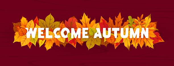 istock Welcome autumn banner with fall season leaves 2242700314