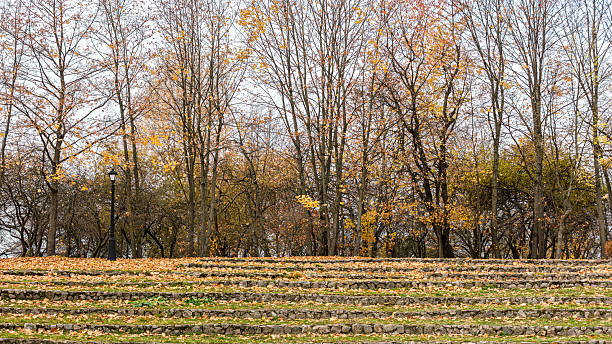 autumn park landscape. chilly autumn day with bare trees under overcast sky.