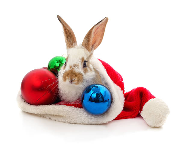 Adorable rabbit wearing a Santa hat sitting beside Christmas decorations. Festive holiday composition with New Year ornaments and winter theme on a white background.