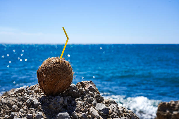 A Refreshing Coconut Sitting on a Rocky Shore, Perfectly Positioned Against a Beautiful Ocean Backdrop on a Bright Sunny Day.
