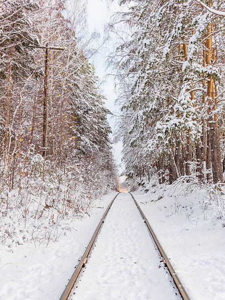 istock Old railway in winter forest. Railway in snow. Winter landscape with empty rail tracks 2242707919