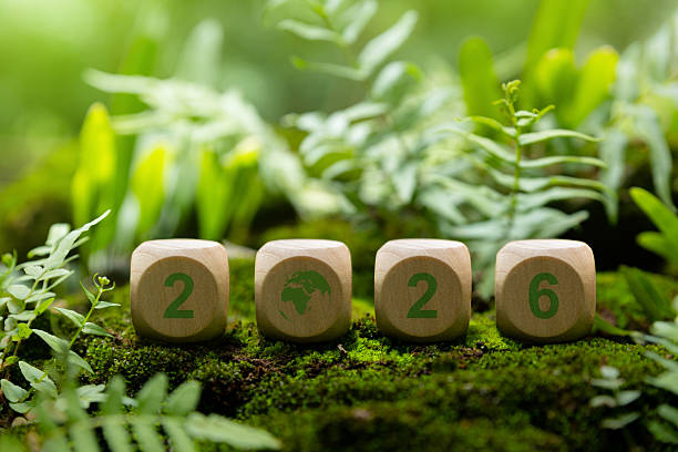 istock Wooden cube 2026 in forest. 2242710309