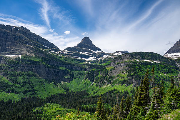 Snow-dusted peaks rise above vibrant green valleys and dense pine forest in Glacier National Park, Montana. The dramatic mountain ridges and dynamic summer sky highlight the pristine beauty of this iconic alpine landscape. Seen along Going-To-The-Sun road.