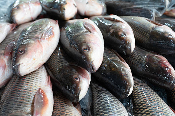 istock Fresh fish lies on ice in a supermarket 2242718927