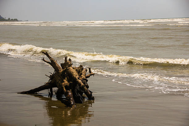 Cox’s Bazar, located in southeastern Bangladesh, is famous for having the world’s longest natural sea beach. Known for its golden sands, turquoise waters, and stunning sunsets, it’s a top destination for tourists seeking relaxation and adventure along the Bay of Bengal