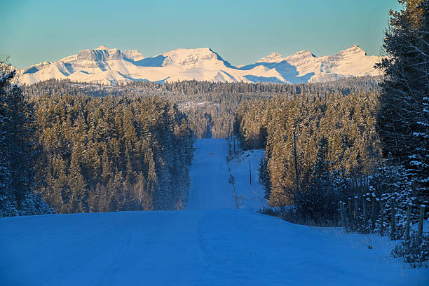 Landscape within the Alberta forests at sunrise, Alberta, Canada