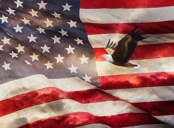 istock Bald eagle flying in front of illuminated American flag 2242722571