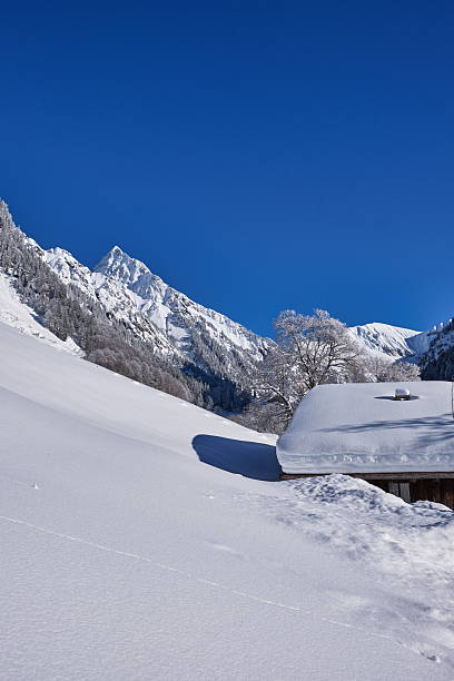 istock Mountain lodge in deep fresh snow in the Bavarian Alps 2242723002