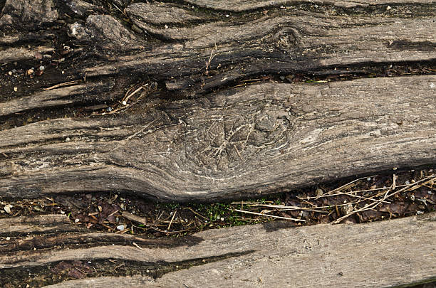 Old cracked wood background closeup