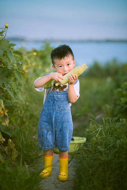 A cheerful young Asian boy in denim overalls and yellow boots stands on a path in a lush green garden, holding a fresh ear of corn. The scene is set by a body of water, with greenery and plants surrounding him, capturing a moment of innocent exploration and connection with nature during summer.