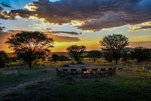 istock Sunset campfire in Serengeti National Park 2242733737