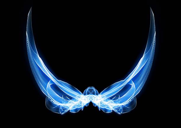 Macro view of blue feathers with fascinating texture