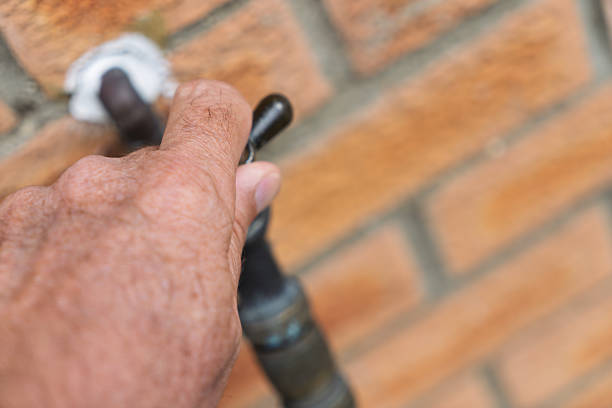 Garden outdoor tap with hosepipe attached.