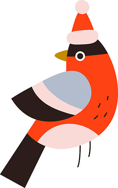 istock elements_cute_birds_and_Christmas_winter_birdhouses 2242750013