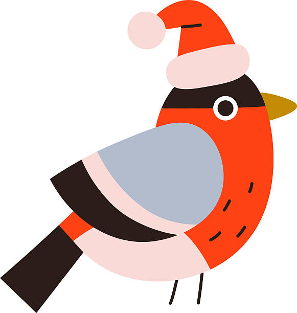 istock elements_cute_birds_and_Christmas_winter_birdhouses 2242750031
