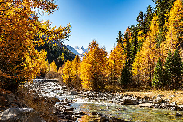 istock Roseg Valley in autumn, Engadine, Switzerland. 2242755981