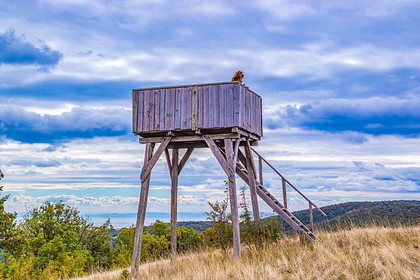 Observation tower  at East Balkan mountain peak on cloudy autumn day,October 12th 2025