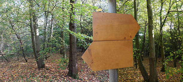 Left and right directional arrows in a forest  Autumn season  Fall foliage