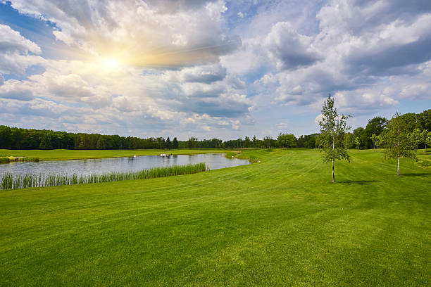 A wide-angle photo overlooking a pond, botanical garden and blue sky.
