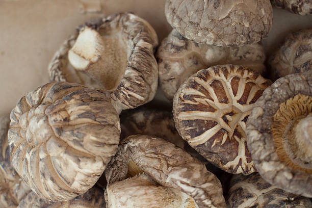 istock Dried mushrooms with unique textures and patterns, showcasing their natural shapes in a close-up view. 2242765983