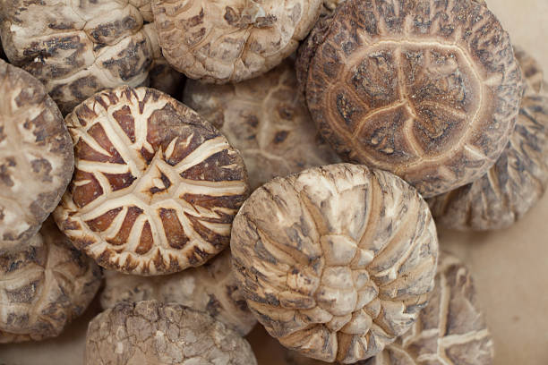 istock Dried mushrooms with intricate textures and patterns, arranged closely together. 2242765985